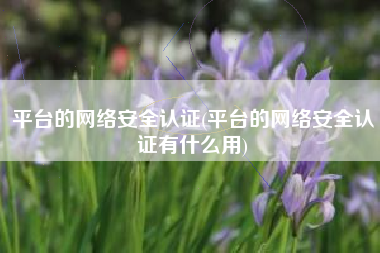 平台的网络安全认证(平台的网络安全认证有什么用)