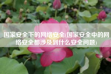 国家安全下的网络安全(国家安全中的网络安全都涉及到什么安全问题)