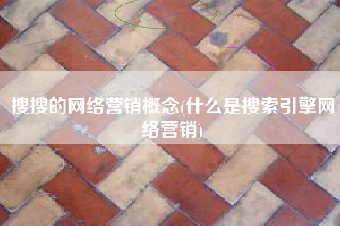 搜搜的网络营销概念(什么是搜索引擎网络营销)
