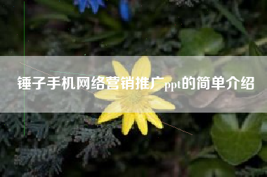 锤子手机网络营销推广ppt的简单介绍