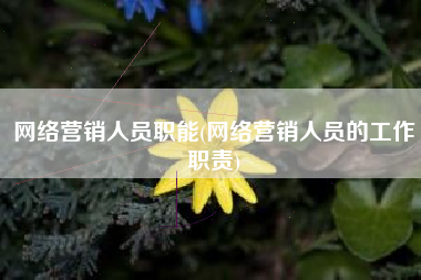 网络营销人员职能(网络营销人员的工作职责)