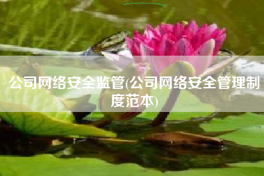 公司网络安全监管(公司网络安全管理制度范本)