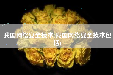 我国网络安全技术(我国网络安全技术包括)