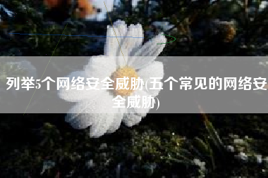 列举5个网络安全威胁(五个常见的网络安全威胁)