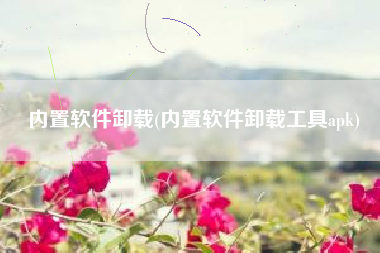 内置软件卸载(内置软件卸载工具apk)