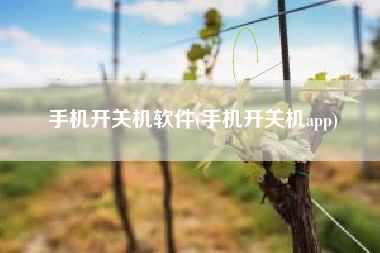 手机开关机软件(手机开关机app)