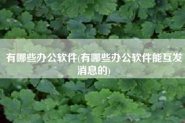有哪些办公软件(有哪些办公软件能互发消息的)
