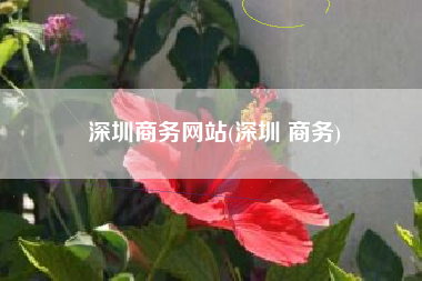 深圳商务网站(深圳 商务)