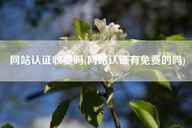 网站认证收费吗(网站认证有免费的吗)