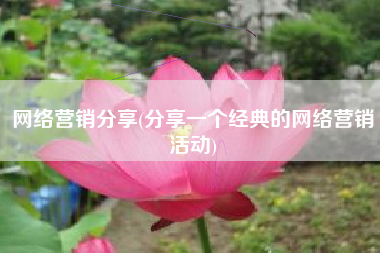 网络营销分享(分享一个经典的网络营销活动)