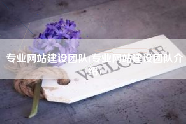 专业网站建设团队(专业网站建设团队介绍)