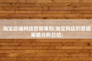 淘宝店铺网络营销策划(淘宝网店的营销策略分析总结)
