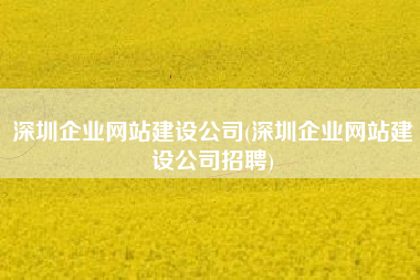 深圳企业网站建设公司(深圳企业网站建设公司招聘)