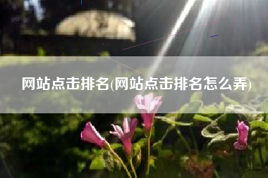 网站点击排名(网站点击排名怎么弄)