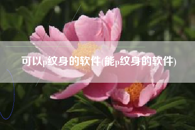 可以p纹身的软件(能p纹身的软件)