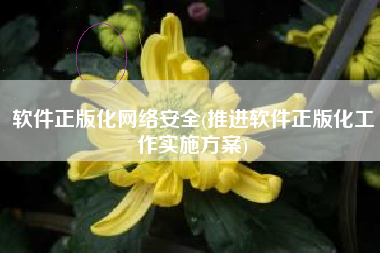 软件正版化网络安全(推进软件正版化工作实施方案)