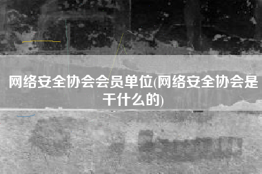 网络安全协会会员单位(网络安全协会是干什么的)