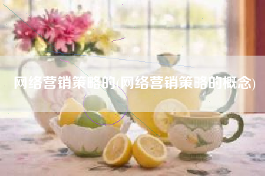 网络营销策略的(网络营销策略的概念)