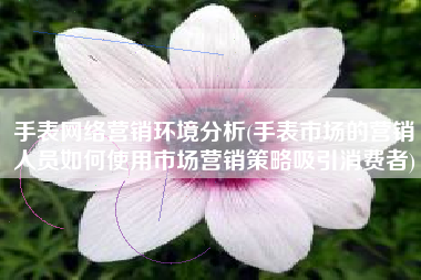手表网络营销环境分析(手表市场的营销人员如何使用市场营销策略吸引消费者)