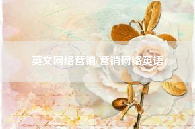 英文网络营销(营销网络英语)