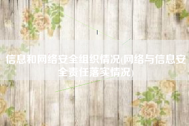 信息和网络安全组织情况(网络与信息安全责任落实情况)