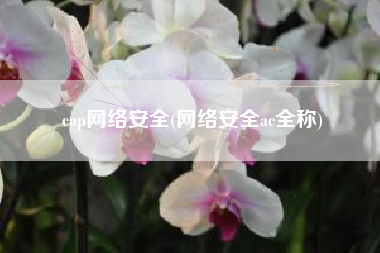 cap网络安全(网络安全ac全称)