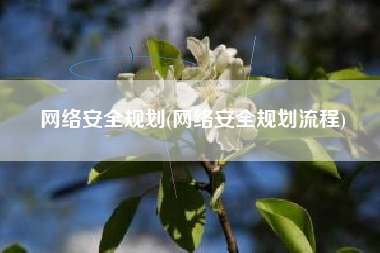 网络安全规划(网络安全规划流程)