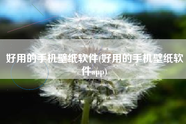 好用的手机壁纸软件(好用的手机壁纸软件app)