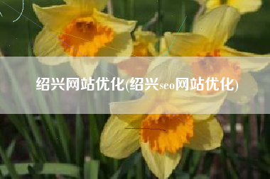 绍兴网站优化(绍兴seo网站优化)