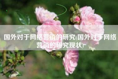 国外对于网络营销的研究(国外对于网络营销的研究现状)