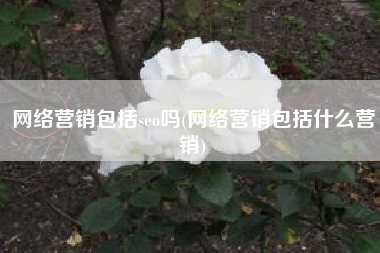 网络营销包括seo吗(网络营销包括什么营销)
