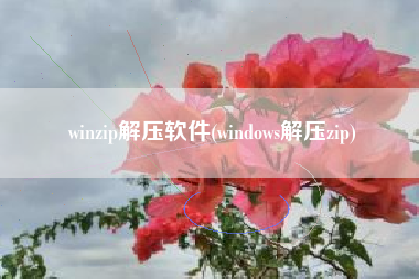 winzip解压软件(windows解压zip)