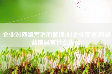企业对网络营销的管理(对企业而言,网络营销具有什么优势)