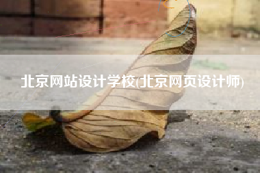 北京网站设计学校(北京网页设计师)