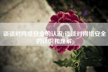 谈谈对网络安全的认识(谈谈对网络安全的认识和理解)