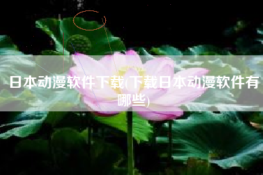 日本动漫软件下载(下载日本动漫软件有哪些)