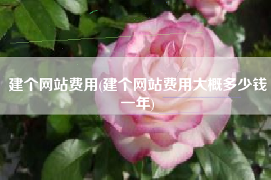 建个网站费用(建个网站费用大概多少钱一年)