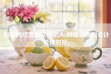 购买网络营销软件记入(网络销售的会计处理包括)
