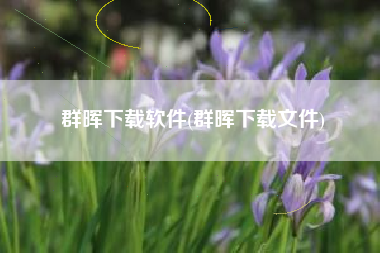 群晖下载软件(群晖下载文件)