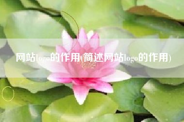 网站logo的作用(简述网站logo的作用)