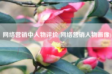 网络营销中人物评价(网络营销人物画像)
