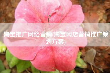 淘宝推广网络营销(淘宝网店营销推广策划方案)