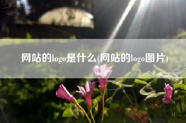 网站的logo是什么(网站的logo图片)