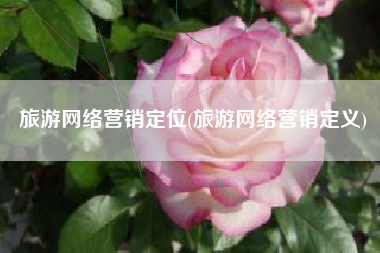 旅游网络营销定位(旅游网络营销定义)
