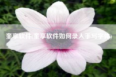 奎享软件(奎享软件如何录入手写字体)