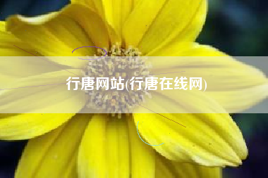 行唐网站(行唐在线网)