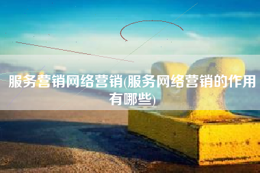 服务营销网络营销(服务网络营销的作用有哪些)