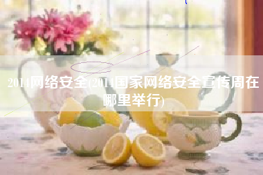 2014网络安全(2014国家网络安全宣传周在哪里举行)