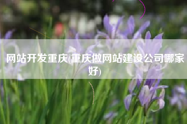 网站开发重庆(重庆做网站建设公司哪家好)
