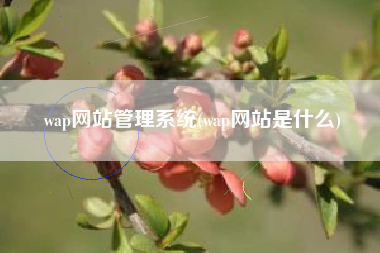 wap网站管理系统(wap网站是什么)